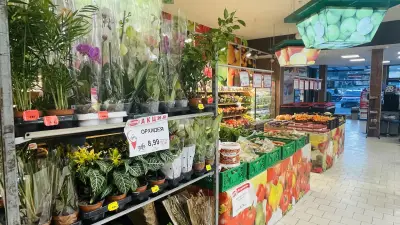BulMag Супермаркет Боян Българанов