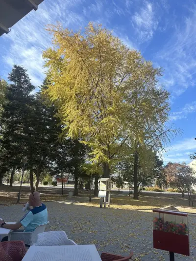 Община Марица