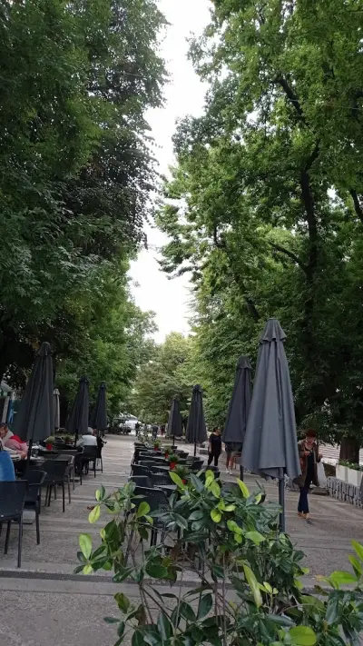Лайф кафе