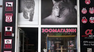 Зоомагазин Анимо
