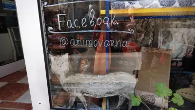 Зоомагазин Анимо