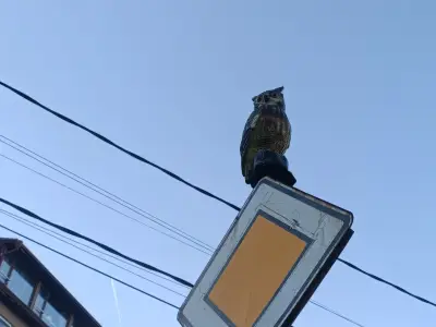 Къща Охлюв
