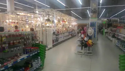 Практикер Варна
