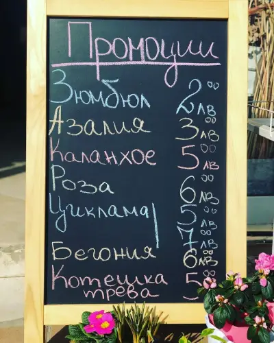 Магазин за цветя "Далия"