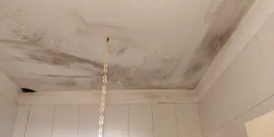 хотел Александрия
