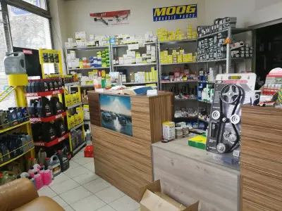 Export Auto