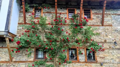Kalinia Guesthouse B&B