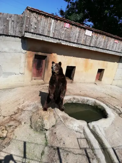Зоопарк Павликени