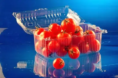 Assa Plast Bulgaria / Aсса Пласт България