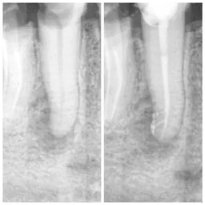 Dentist Kyuchukov
