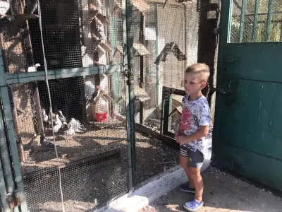 Гълъбите Света Елена