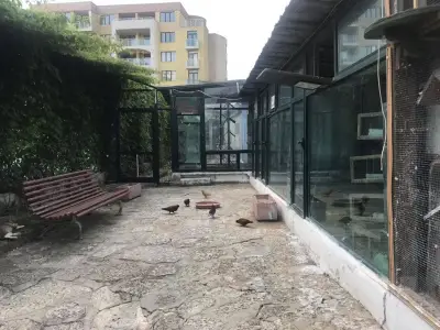 Гълъбите Света Елена