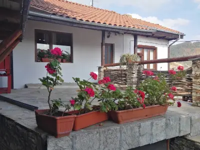 Sharkov Guest House