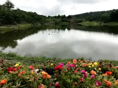 Park Hotel RAYA Garden