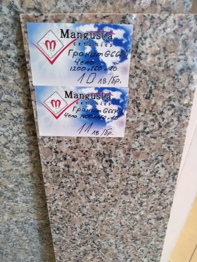 Мангуста ЕООД