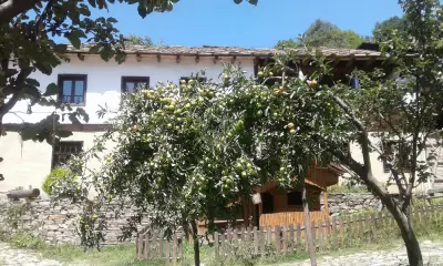 Тодорината къща