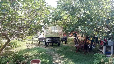 Хостел Дел Мар