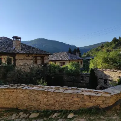 Twin House