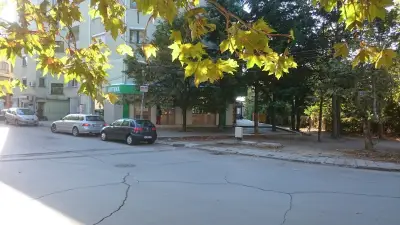 Аптека Матрикариа Чайка