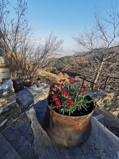 Yancheva Guest House