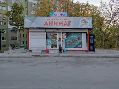 АНИМАГ 13 / ANIMAG 13