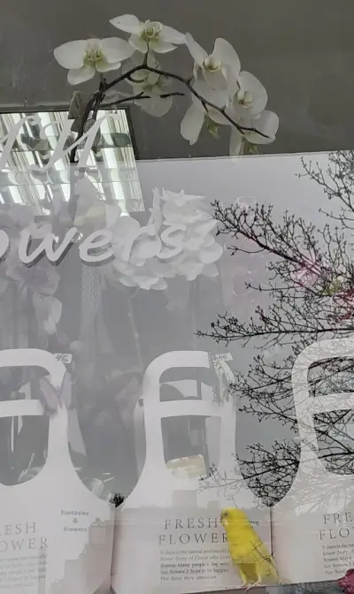 Fantasies & Flowers