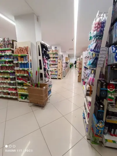 Бурлекс Чайка