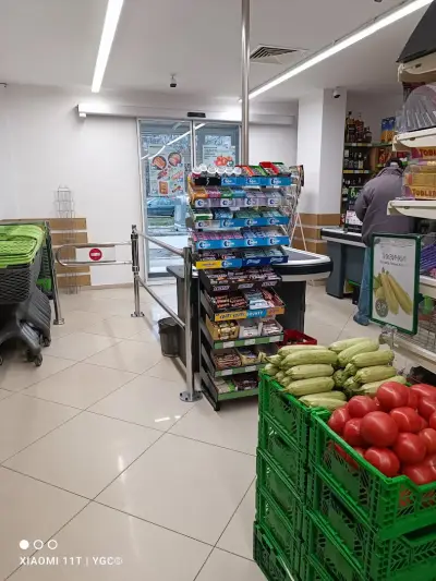 Бурлекс Чайка