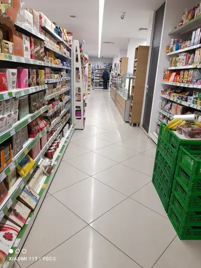 Бурлекс Чайка