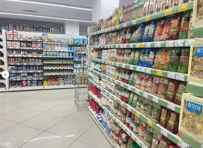 Бурлекс Чайка