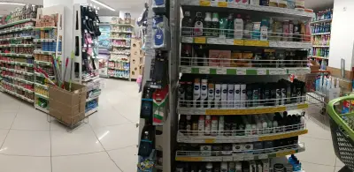 Бурлекс Чайка