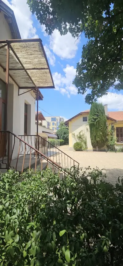 НУ "Васил Левски"