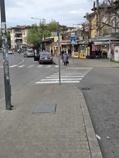 Пица Плиска