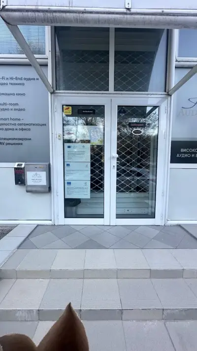 Аудио Арте