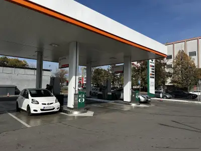 Insa oil