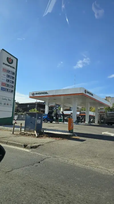 Insa oil