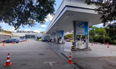 Insa oil