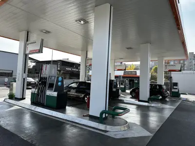 Insa oil