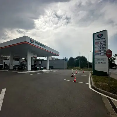 Insa oil
