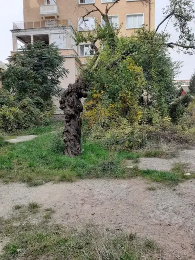 Медицински комплекс Полимед