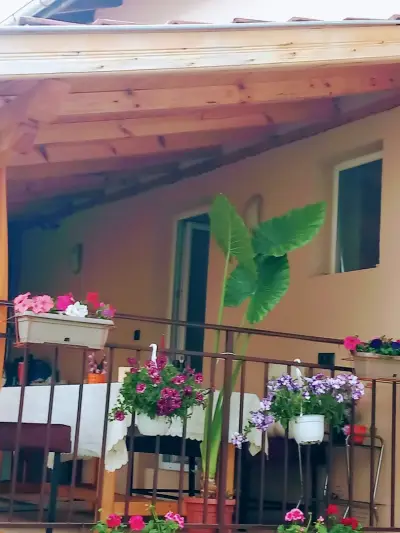 Стаи за гости - Цветето на Ангела