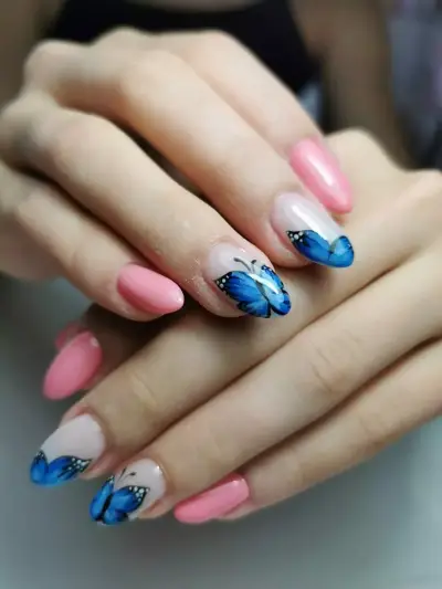 World of Beauty