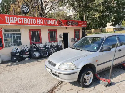 Царството На Гумите