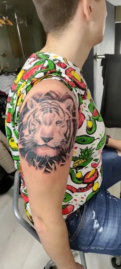 CAT SHOT TATTOO SHOP 2 CSTS tattoo studio