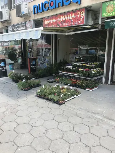 Магазин за цветя El Flo