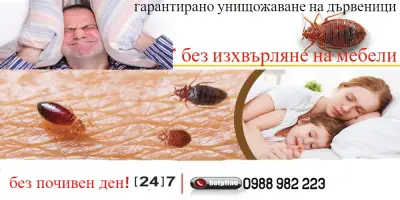 ДДД-ИНСЕКТ-2012 Унищожаване на Вредители в Пазарджик и Пловдив