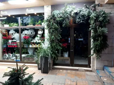 Флорис