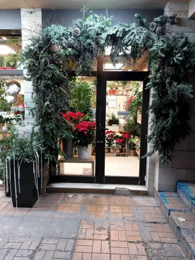 Флорис