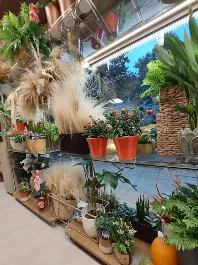 Флорис