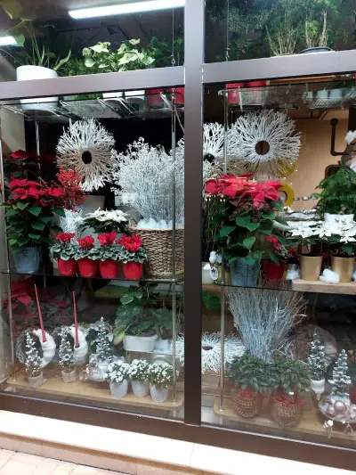 Флорис